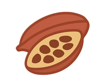 Cocoa Beans