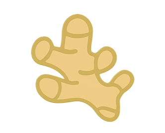 Ginger