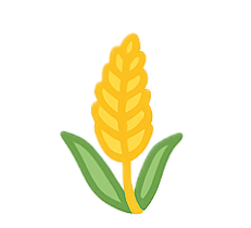 Millet Flour
