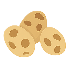 Tiger Nuts